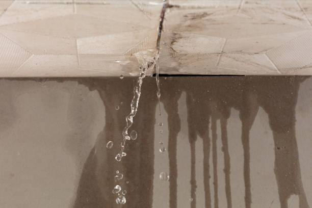 Professional Water Extraction technician working in Glen Head, NY